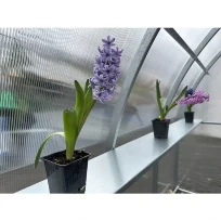 Функциональный каркас