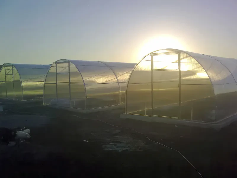Тепличний комплекс з 3 теплиць 3х10 м
